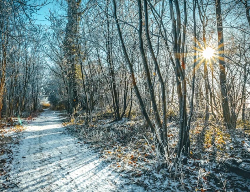 БИЈЕЉИНА, 16. ЈАНУАРА /СРНА/ - У Републици Српској и Федерацији БиХ данас се након облачног јутра очекује сунчаније вријеме.