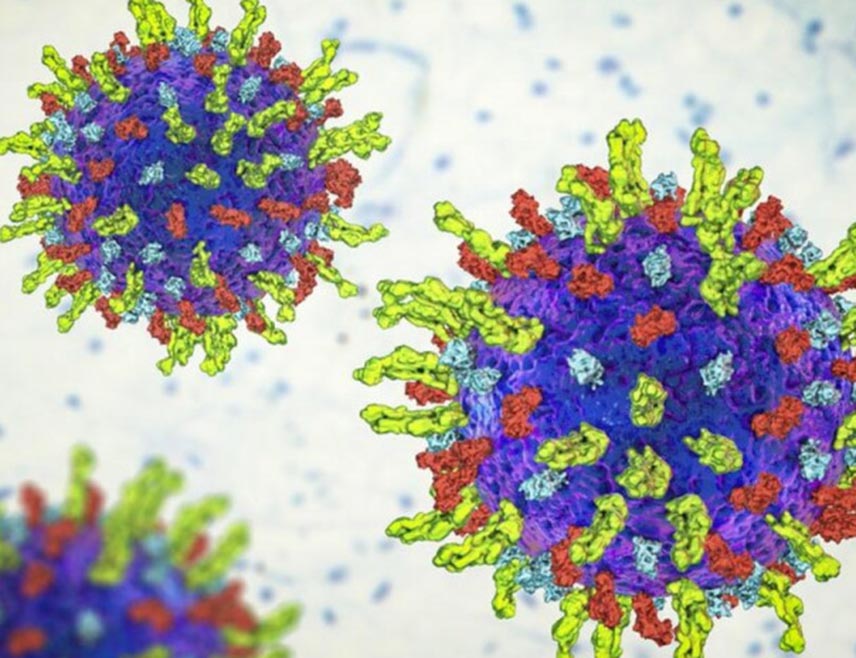 ТОКИО, 16. ЈАНУАРА /СРНА/ - Јапански истраживачи саопштили су да је клиничким испитивањем потврђен одређени ниво ефикасности  лијечење рака кориштењем  имунолошких ћелија изведених из  индукованих плурипотентних матичних  /иПС/ ћелија.