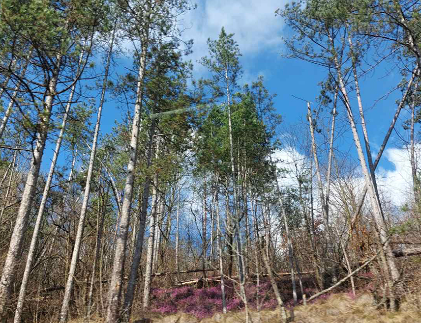 САРАЈЕВО, 18. ЈАНУАРА /СРНА/ - У Републици Српској и Федерацији БиХ сутра ће бити претежно сунчано уз умјерену облачност максималну температуру од нула до четири степена Целзијусова.