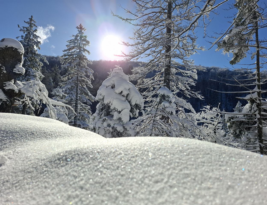 ИСТОЧНО САРАЈЕВО, 19. ЈАНУАРА /СРНА/ - У Републици Српској и Федерацији БиХ /ФБиХ/ сутра ће бити претежно сунчано и хладно, са максималном дневном температуром до 12 степени Целзијусових.