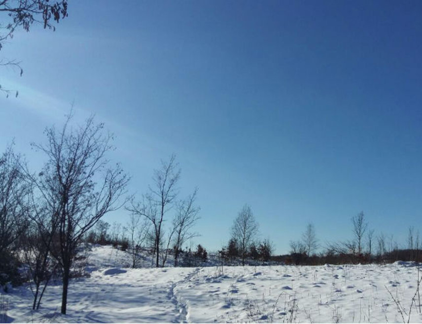 ИСТОЧНО САРАЈЕВО, 20. ЈАНУАРА /СРНА/ – У Републици Српској и Федерацији БиХ /ФБиХ/ сутра ће бити хладно и претежно суво, уз максималну дневну температуру до 10 степени Целзијусових.