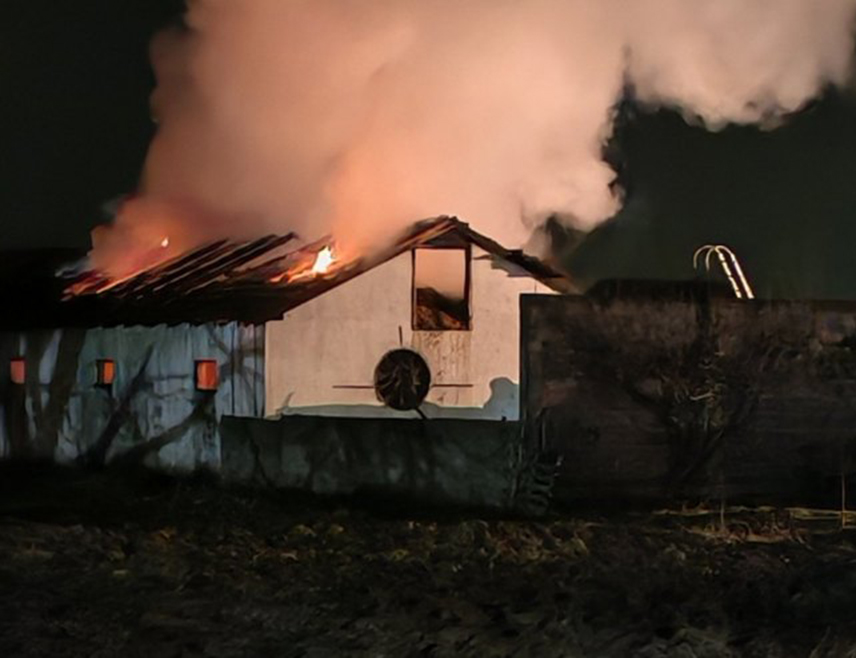 БИЈЕЉИНА, 21. ЈАНУАРА /СРНА/ - Велики пожар на фарми свиња и штали са овцама у семберском насељу Гојсовац је локализован, а ватрогасци су још на терену, речено је Срни у Ватрогасно спасилачкој јединици Бијељина.