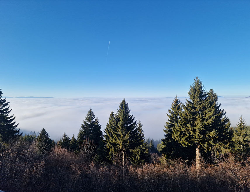 БАЊАЛУКА, 22. ЈАНУАРА /СРНА/ - У Републици Српској се, након периода изузетно хладног времена, у наредним данима очекује постепени пораст температуре, рекла је Срни метеоролог Републичког хидрометеоролошког завода Милица Ђорђевић.