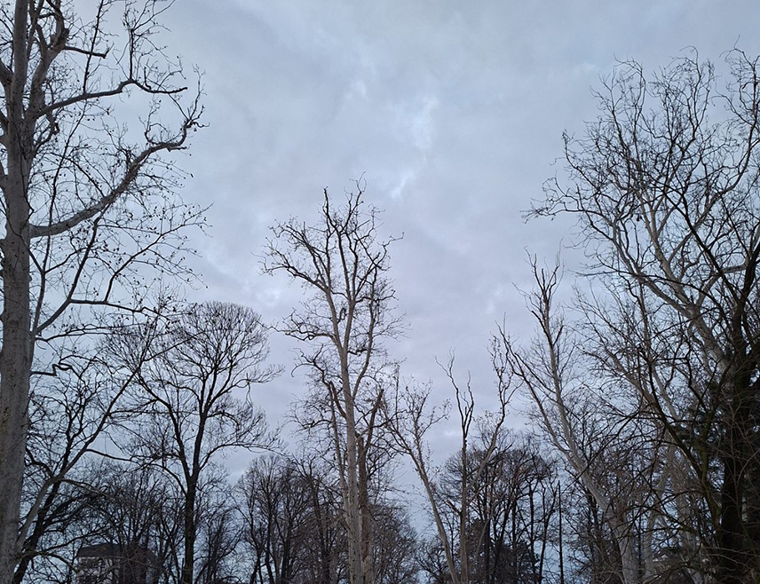 ИСТОЧНО САРАЈЕВО, 23. ЈАНУАРА /СРНА/ – У Републици Српској и Федерацији БиХ /ФБиХ/ сутра се очекује промјенљиво, вјетровито и још топлије вријеме.