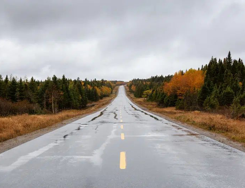 БАЊАЛУКА, 26. ЈАНУАРА /СРНА/ - Путеви у Републици Српској и ФБиХ јутрос су проходни али се због обилних падавина и велике количине воде на коловозима саобраћај одвија отежано у већини крајева, саопштено је из Ауто-мото савеза /АМС/ Републике Српске.