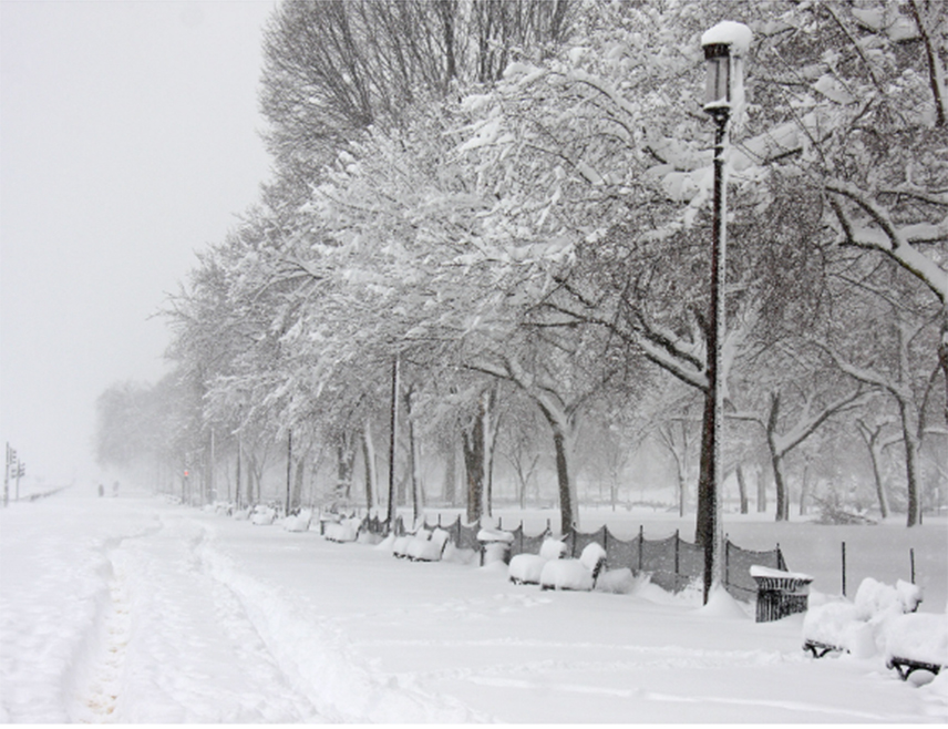 ВАШИНГТОН, 26. ЈАНУАРА /СРНА/ - Више од милион људи у САД остало је без струје усљед сњежне олује која је од Тексаса до Нове Енглеске донијела обилне сњежне падавине, лед и ледену кишу, јавили су Би-Би-Си и "Ен-Би-Си њуз".