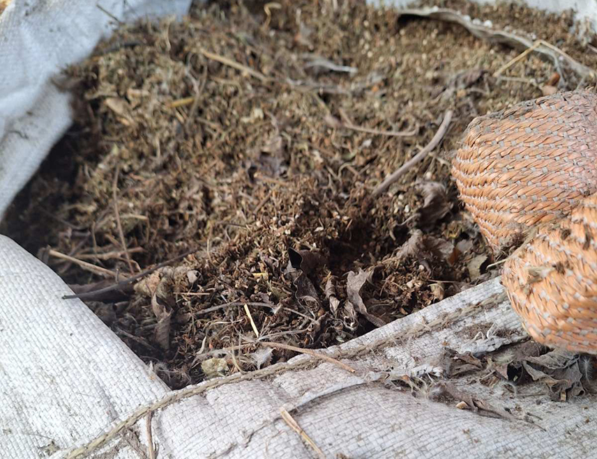 БАЊАЛУКА, 3. ФЕБРУАРА /СРНА/ - Припадници Управе криминалистичке полиције Министарства унутрашњих послова /МУП/ Републике Српске и Полицијске управе Бијељина извршили су данас претрес једне локације на подручју Бијељине и пронашли већу количину опојне дроге марихуане, саопштено је из МУП-а.