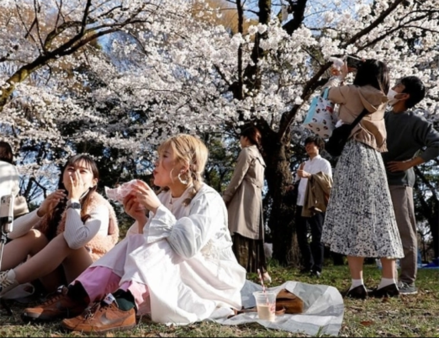 ФУЏИЈОШИДА, 5. ФЕБРУАРА /СРНА/ - Власти јапанског града Фуџијошида, смјештеног у близини планине Фуџи, отказале су овогодишњи Фестивал цвијета трешње због пораста броја туриста који нарушавају ред.