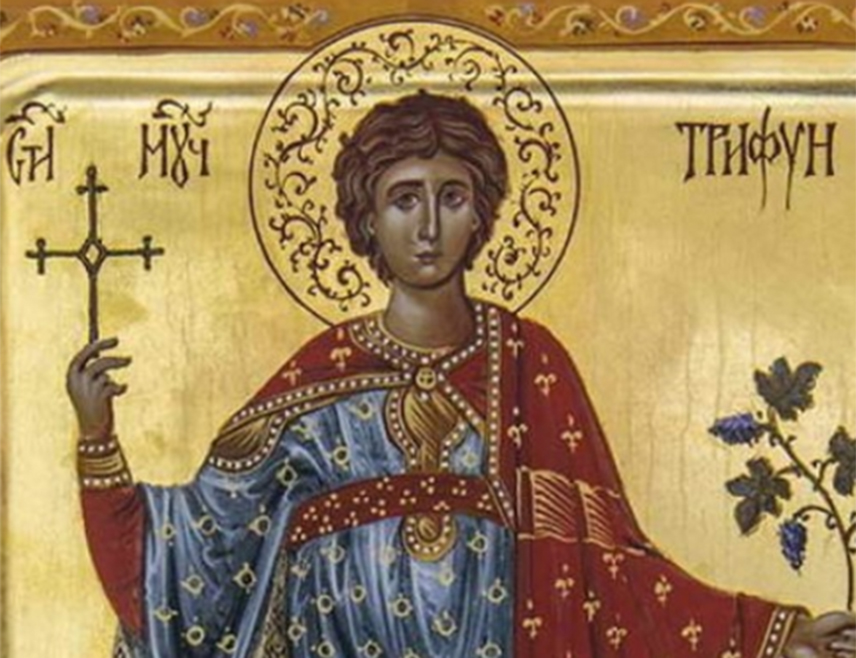 БИЈЕЉИНА, 13. ФЕБРУАРА /СРНА/ - Српска православна црква /СПЦ/ прославиће сутра Светог Трифуна, који се у народу слави као заштитник многих заната и оних који искрено воле, његујући хришћанску љубав.