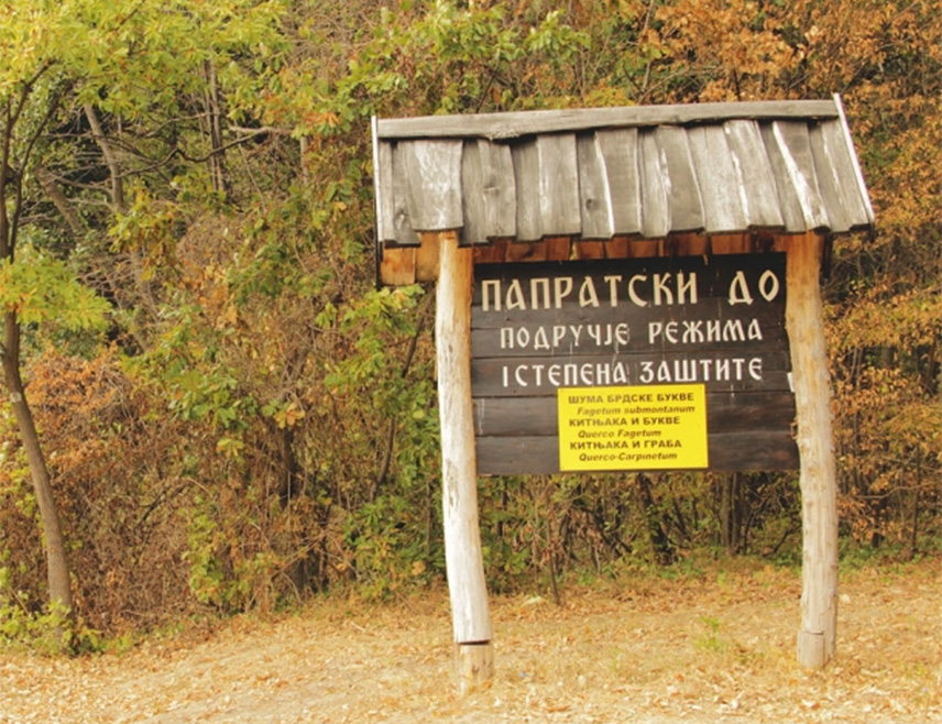 БЕОГРАД, 19. ФЕБРУАРА /СРНА/ - Србија ће номиновати шуме у три национална парка за Унескову листу свјетске баштине "Древне и нетакнуте букове шуме Карпата и других региона Европе", и то Папратски до на Фрушкој гори, Звезда и Рача на Tари и Козје стене на Копаонику.