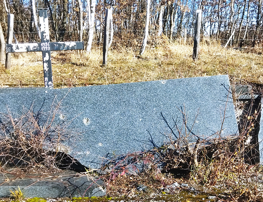 SARAJEVO, FEBRUARY 24 /SRNA/ - Serb property in Sarajevo municipalities within the Federation of BiH /FBiH/ is being targeted by local authorities who are attempting to seize it by incorporating it into spatial plans for national parks; one example is the Žuč Orthodox Cemetery, which is the most devastated cemetery in that entity.