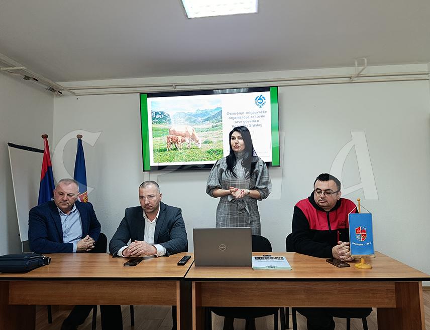 МРКОЊИЋ ГРАД, 26. ФЕБРУАРА /СРНА/ - Оснивање одгајивачког центра за товне расе говеда у Републици Српској неопходан је корак у савременом сточарству јер је неопходно подићи ниво домаће производње и конкуретност домаћих произовђача, истакнуто је данас на предавању у Мркоњић Граду.