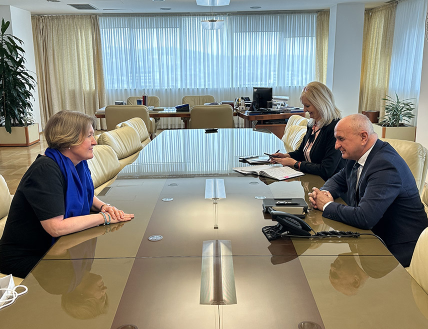 БАЊАЛУКА, 4. МАРТА /СРНА/ - Министар енергетике и рударства Републике Српске Петар Ђокић и амбасадор Чешке у БиХ Јана Лолић Шинделкова разговарали су данас у Бањалуци о могућностима укључивања чешких компанија у инвестиционе пројекте који се реализују у Српској.