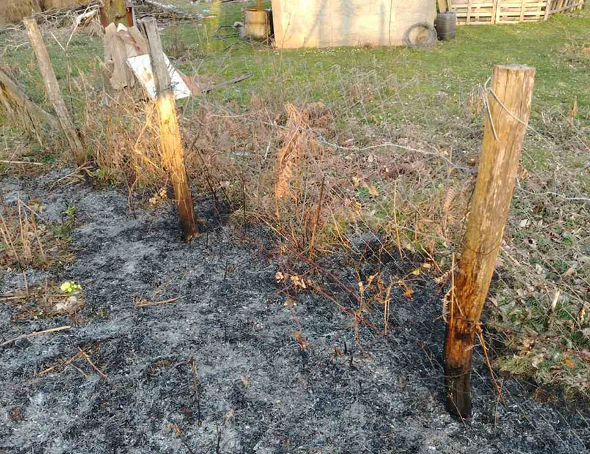 ​МИЛИЋИ, 7. МАРTА /СРНА/ - Ватрогасци су угасили пожар који је избио данас у мјесту Павковићи код Милића, гдје су горјели сува трава и ниско растиње, а пријетио је и једној кући и помоћном објекту.