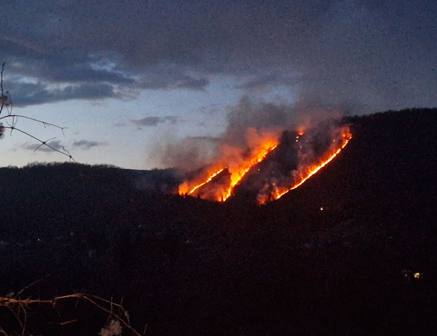 ФОЧА, 14. МАРТА /СРНА/ - На подручју села Мулахасановићи у фочанској мјесној заједници Миљевина ватрогасци гасе пожар који је у послијеподневним часовима захватио шуму и ниско растиње, речено је Срни у Територијалној ватрогасно-спасилачкој јединици Фоча.
