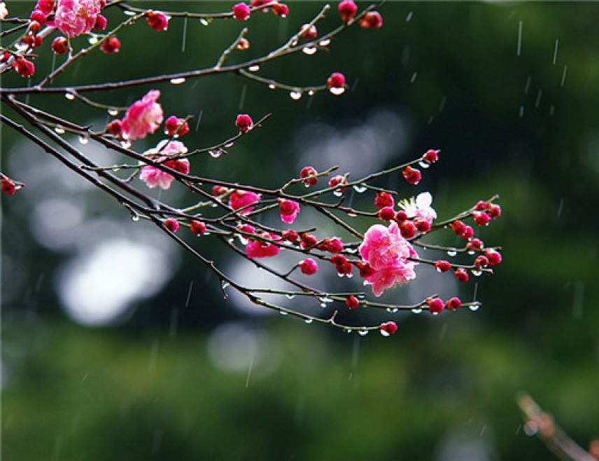 БАЊАЛУКА, 18. МАРТА /СРНА/ - У Републици Српској и Федерацији БиХ /ФБиХ/ данас ће бити облачно са кишом, у планинским предјелима снијег.