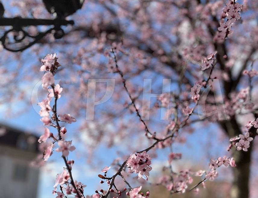 БАЊАЛУКА, 24. МАРТА /СРНА/ - Републику Српску од четвртка, 26. марта, очекује захлађење са снијегом у вишим предјелима Крајине, а у нижим са кишом, сусњежицом и повремено снијегом, рекла је Срни метеоролог Републичког хидрометеоролошког завода Милица Ђорђевић.