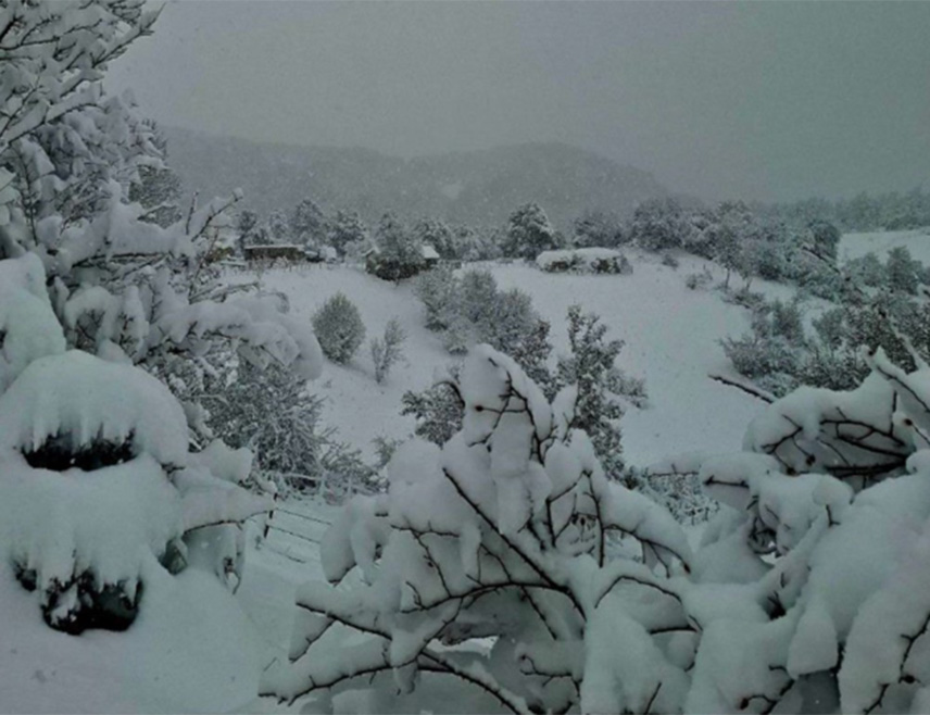 ПОДГОРИЦА, 27. МАРТА /СРНА/ - Снијег у Црној Гори оставио је без електричне енергије становништво села на Цетињу и Никшићу, а пут до мјесне заједнице Доње Црквице на подручју Бањана није проходан.