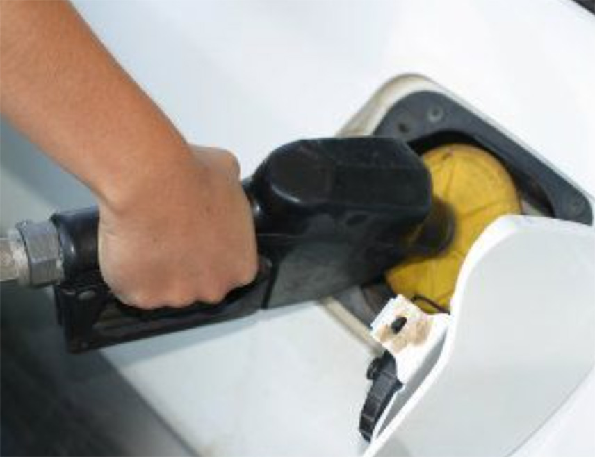 ПЕЛАГИЋЕВО, 27. МАРТА /СРНА/ - Општина Пелагићево, иако мала, велика је по резултатима које ниже локална власт, а све са циљем подршке својим суграђанима.