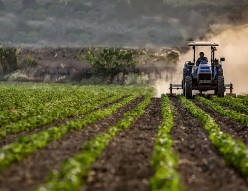 БАЊАЛУКА, 1. АПРИЛА /СРНА/ - Министарство пољопривреде, шумарства и водопривреде Републике Српске данас је исплатило 7.906.400 КМ за подстицаје у пољопривредној производњи за 644 корисника.