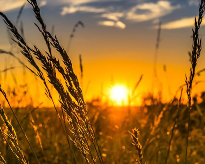 САРАЈЕВО, 6. АПРИЛА /СРНА/ - У Републици Српској и ФБиХ сутра ће бити претежно сунчано и топло вријеме, на истоку уз малу до умјерену облачност, а увече се очекује наоблачење и јачање сјеверног вјетра.