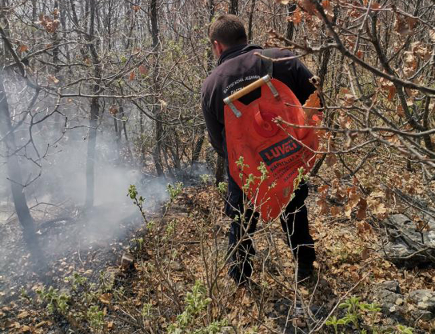 TРЕБИЊЕ, 10. АПРИЛА /СРНА/ - Пожар који је захватио ниско растиње у рејону око граничног прелаза Клобук између БиХ и Црне Горе је под контролом и не угрожава насеља и имовину људи, рекао је Срни командир требињског Добровољног ватрогасног друштва Ластва Милош Вучуревић.