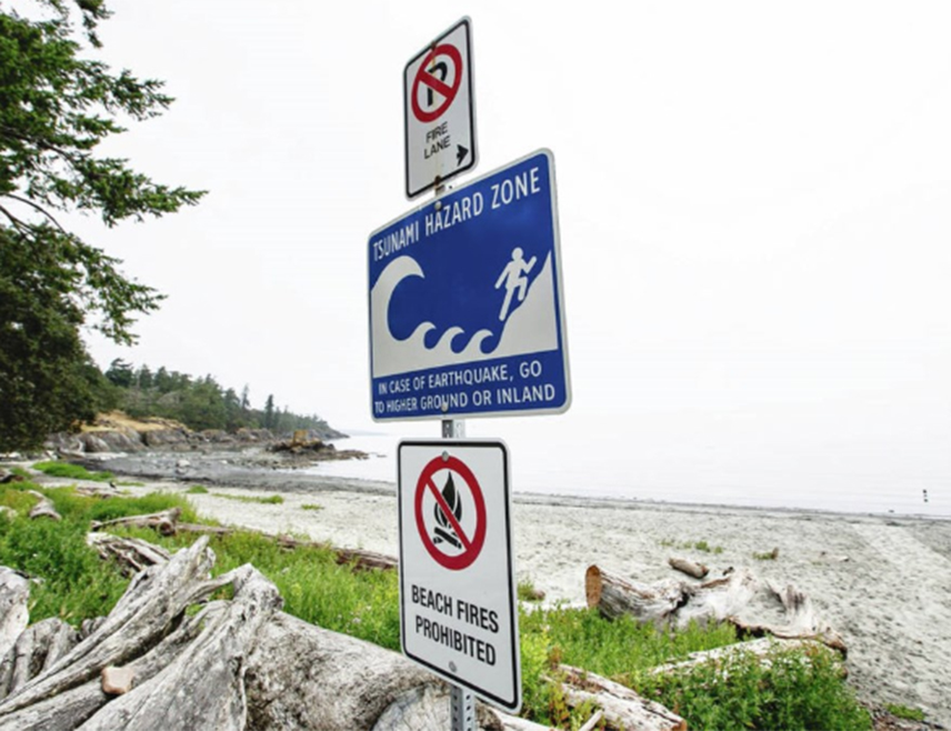 ТОКИО, 20. АПРИЛА /СРНА - РИА Новости/ - Први талас цунамија, висине 40 центиметара, стигао је до обале префектуре Ивате у Јапану, јавила је телевизијска кућа НХК.