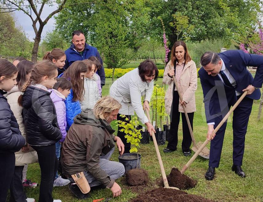 BANJA LUKA, APRIL 22 /SRNA/ – Republika Srpska Minister for Spatial Planning, Construction and Ecology Bojan Vipotnik planted today in Banja Luka seedlings of the yellow beech, the first protected tree in Republika Srpska.