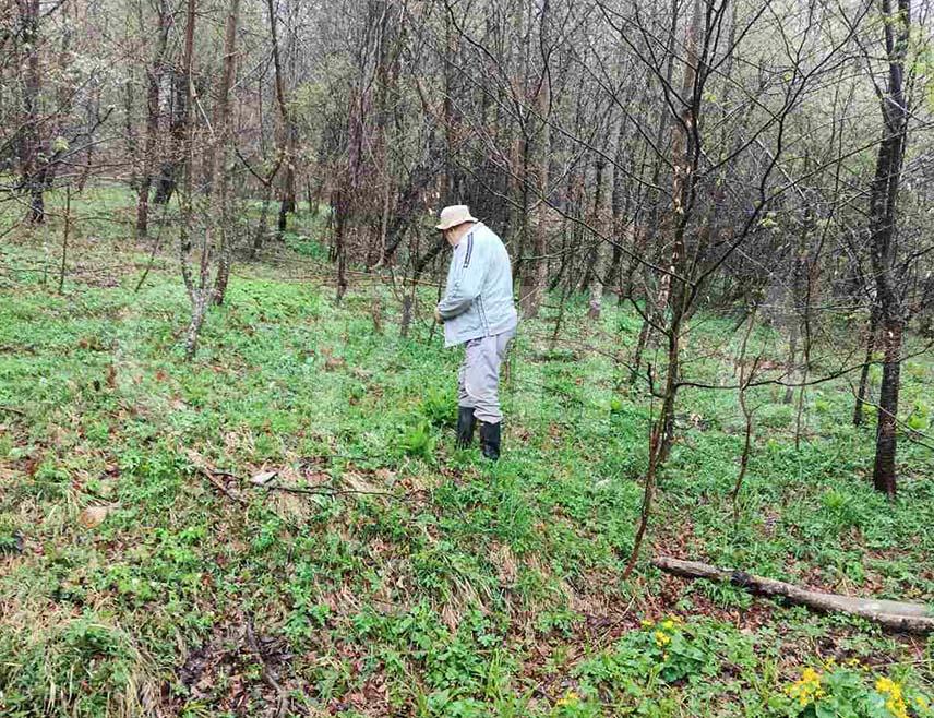 СРЕБРЕНИЦА, 22. АПРИЛА /СРНА/ - Национални парк /НП/ "Дрина" из Сребренице обиљежио је данас Свјетски дан планете земље организовањем бербе сријемуша на локалитету Бијеле воде, те часа ботанике ради подизања свијести о значају заштите природе и очувању природних ресурса.