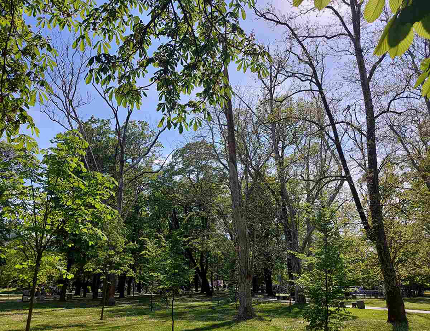 БИЈЕЉИНА, 24. АПРИЛА /СРНА/ - У Републици Српској и ФБиХ данас ће бити претежно сунчано и топлије вријеме уз малу облачност.