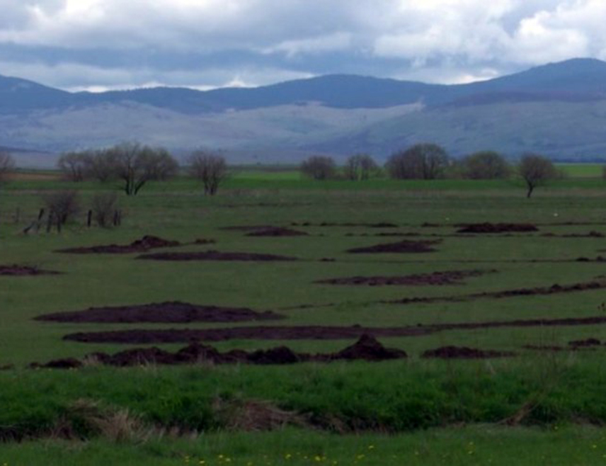 БЕОГРАД, 25. АПРИЛА /СРНА/ - Парох гламочки Душко Шобић изјавио је Срни да није срео ни једног становника Гламоча, без обзира на вјеру и нацију, који се слаже са изградњом новог војног полигона на подручју те општине, јер су сви свјесни колико би им то нарушило свакодневицу и квалитет живота.