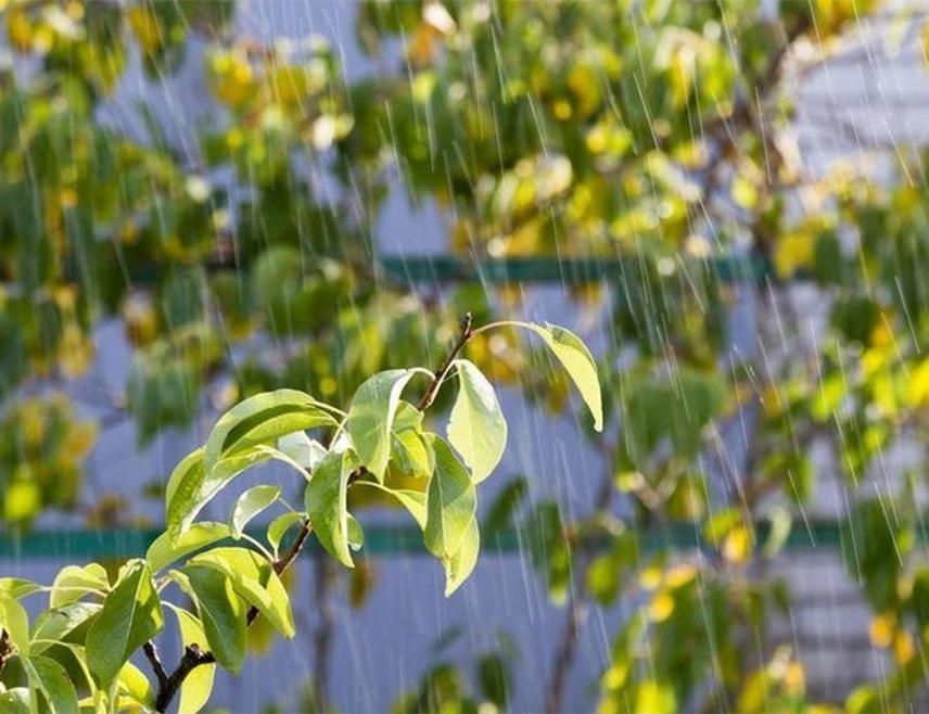 БИЈЕЉИНА, 28. АПРИЛА /СРНА/ - У Републици Српској и Федерацији БиХ данас ће бити претежно сунчано, a послије подне могућа је киша или пљускови.