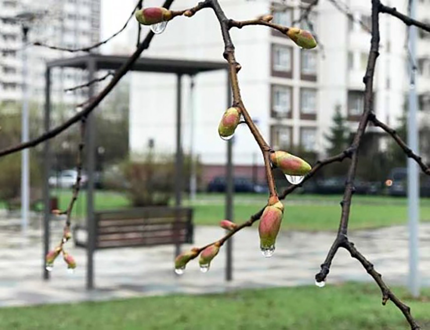 БИЈЕЉИНА, 30. АПРИЛА /СРНА/ - У Републици Српској и Федерацији БиХ /ФБиХ/ данас ће бити хладније вријеме са падавинама на југу и истоку и сусњежицом и снијегом на планинама, уз постепено разведравање током дана.