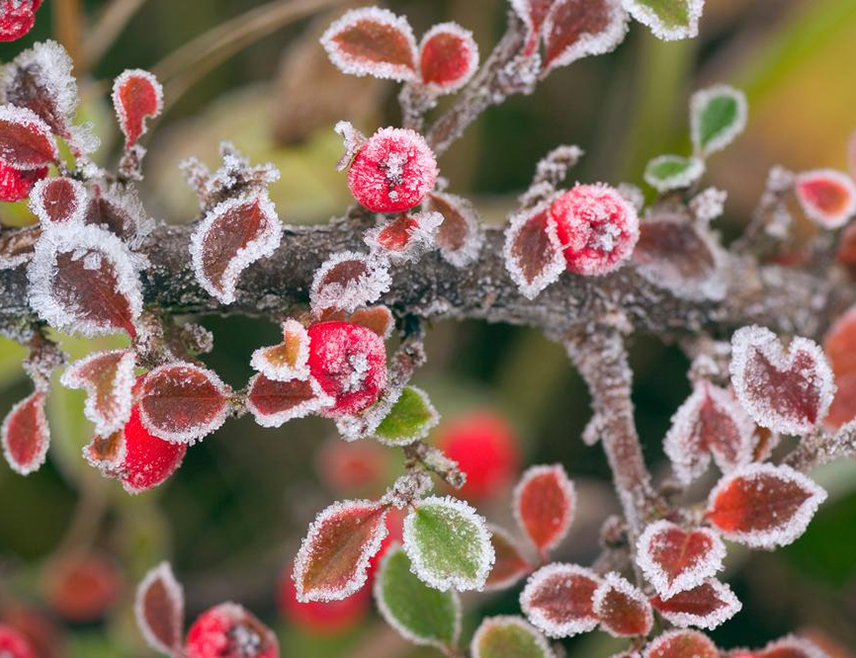 САРАЈЕВО, 30. АПРИЛА /СРНА/ - У Републици Српској и Федерацији БиХ /ФБиХ/ сутра ће бити сунчано и топлије уз развој облачности послије подне и температуру од 13 до 18 степени Целзијусових.