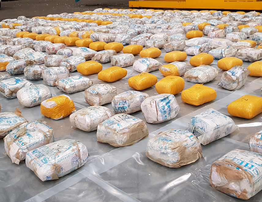 ВАРШАВА, 8. ЈУНА /СРНА/ - Полиција Пољске заплијенила је око тону хероина вриједног готово 220 милиона злота /60 милиона долара/, у једној од највећих акција везаних за дрогу у тој земљи посљедњих година.