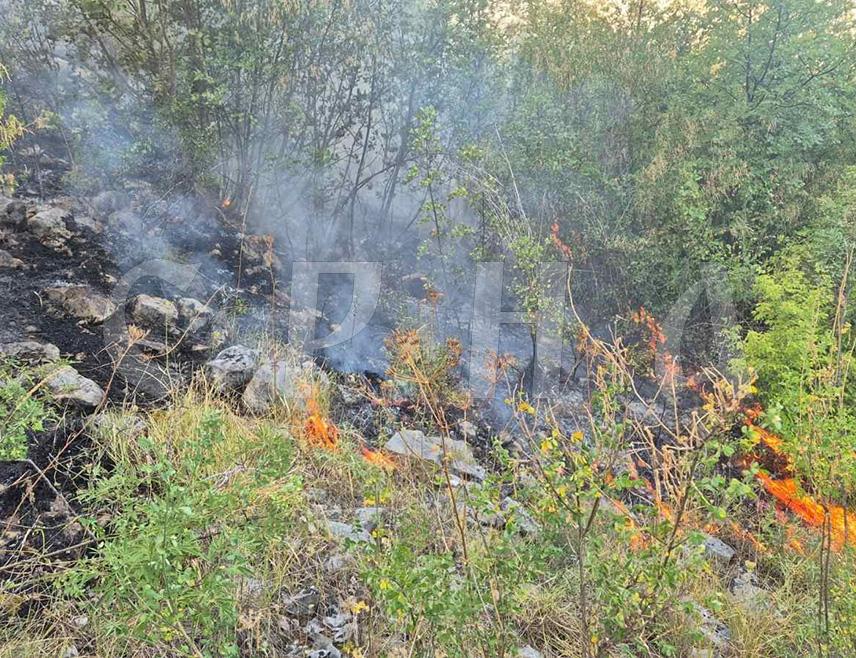TREBINJE, JUNE 28 /SRNA/ – Firefighters battled a major wildfire throughout the night in the Poljice–Sedlari–Grmljani area, where the fire front stretched for about five kilometres, Trebinje Fire Department Commander Dejan Kašiković said, appealing to residents of the threatened villages to immediately join efforts to protect their homes and property.