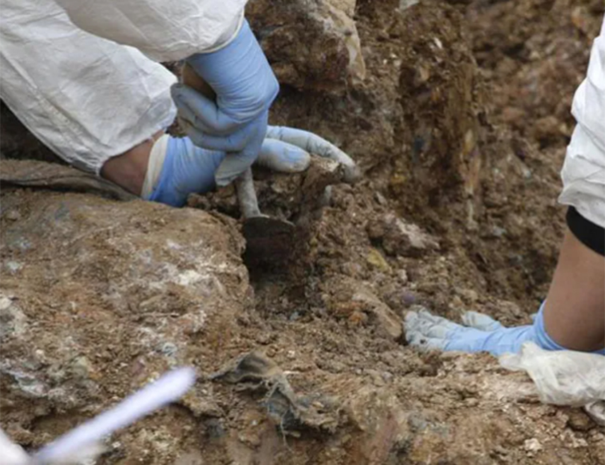 WARSAW, JULY 28 /SRNA/ - Polish teams have discovered the remains of 49 victims of the Volhynia massacre, who were killed by Ukrainian nationalists 83 years ago and buried in unnamed graves, said Karol Polejowski, deputy president of the Polish Institute of National Remembrance.