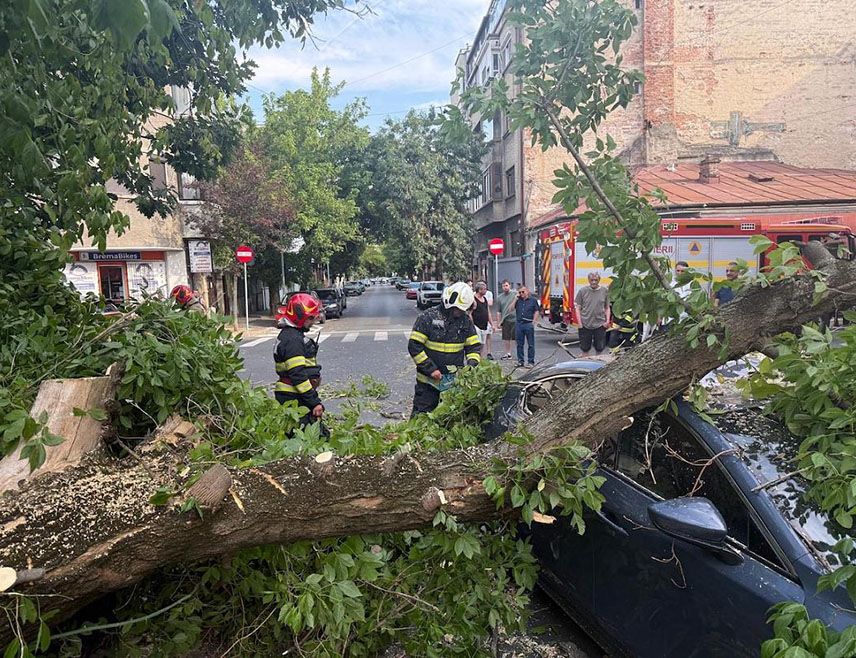 БУКУРЕШT, 7. АВГУСТА /СРНА/ - Јака олуја праћена пљусковима погодила је данас западне и централне дијелове Румуније, чупајући дрвеће и носећи кровове, јавили су румунски медији.