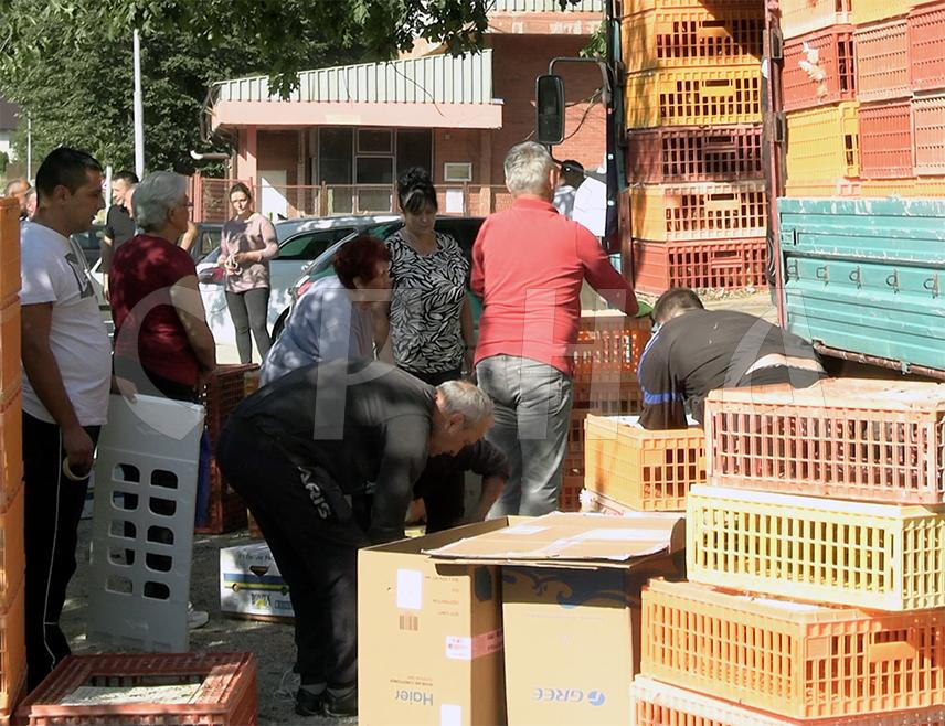 ПАЛЕ, 15. АВГУСТА /СРНА/ - У Подграбу је данас настављена акција подјеле 6.000 кока носиља које је донирала "Електродистрибуција", с циљем подршке домаћинствима са подручја општине Пале.