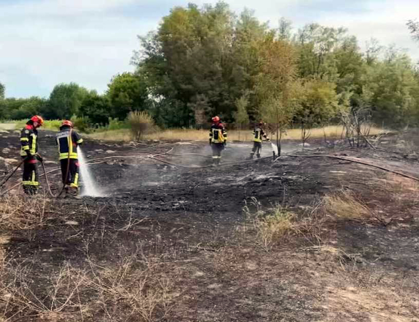 БЕОГРАД, 25. АВГУСТА /СРНА/ - Ширење пожара на планини Столови код Краљева заустављено је, али пожар још није угашен, изјавио је директор шумског газдинства у Краљеву Драган Рељић.