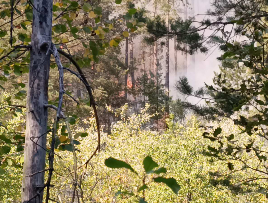 ZAVIDOVIĆI, SEPTEMBER 7 /SRNA/ – Archpriest-Stavrophor Zoran Živković told SRNA that the fire which broke out in the forest near Vozućica Monastery has spread to a cemetery located about 200 metres from the holy site.