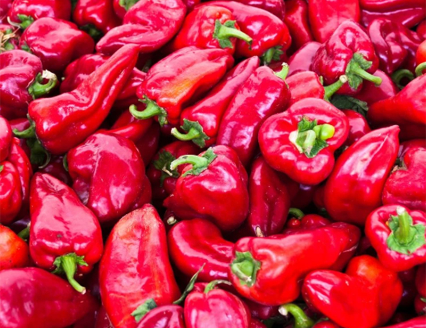 ZAGREB, SEPTEMBER 10 /SRNA/ - Croatia destroyed 14.7 tonnes of red peppers from Albania due to the presence of a banned pesticide.