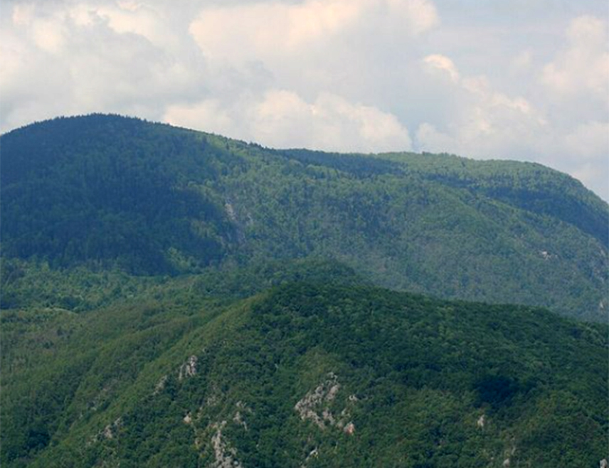 ВИШЕГРАД, 15. СЕПТЕМБРА /СРНА/ - Начелник општине Вишеград Младен Ђуревић рекао је да ће, након што је Влада прогласила Парком природе "Велики Столац", радити са надлежним институцијама на стварању услова да заштишено подручје буде доступно посјетиоцима.